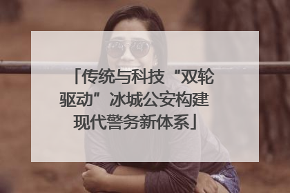 传统与科技“双轮驱动”冰城公安构建现代警务新体系