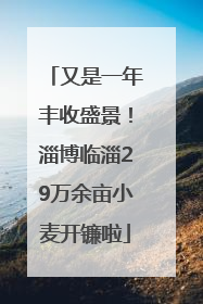 又是一年丰收盛景！淄博临淄29万余亩小麦开镰啦