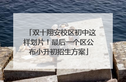 双十翔安校区初中这样划片！最后一个区公布小升初招生方案