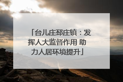 台儿庄邳庄镇：发挥人大监督作用 助力人居环境提升