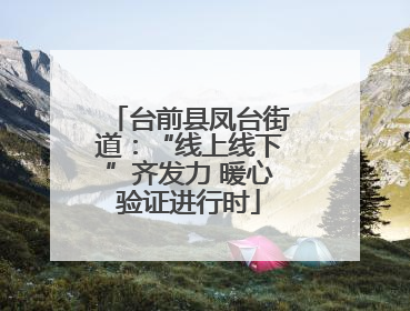 台前县凤台街道：“线上线下”齐发力 暖心验证进行时