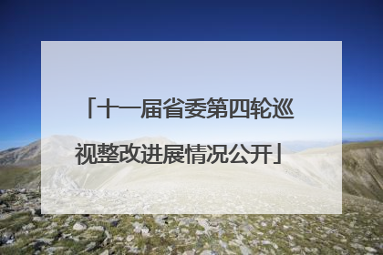 十一届省委第四轮巡视整改进展情况公开