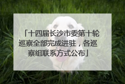 十四届长沙市委第十轮巡察全部完成进驻，各巡察组联系方式公布