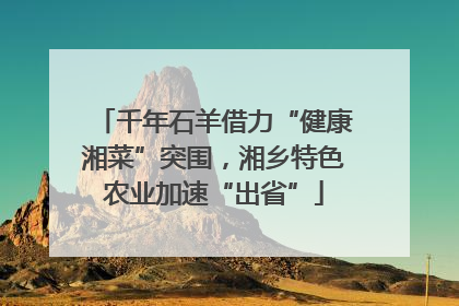 千年石羊借力“健康湘菜”突围，湘乡特色农业加速“出省”