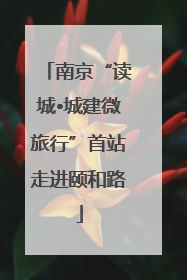 南京“读城•城建微旅行”首站走进颐和路