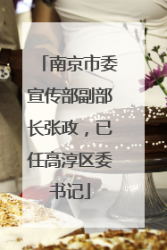 南京市委宣传部副部长张政，已任高淳区委书记