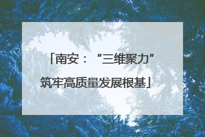 南安：“三维聚力”筑牢高质量发展根基