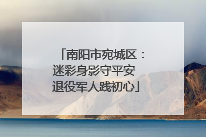 南阳市宛城区：迷彩身影守平安 退役军人践初心