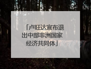 卢旺达宣布退出中部非洲国家经济共同体