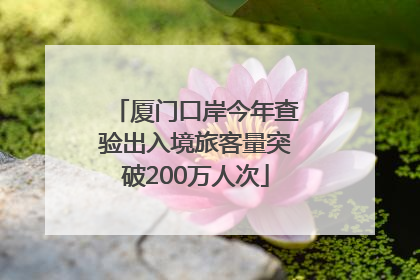 厦门口岸今年查验出入境旅客量突破200万人次