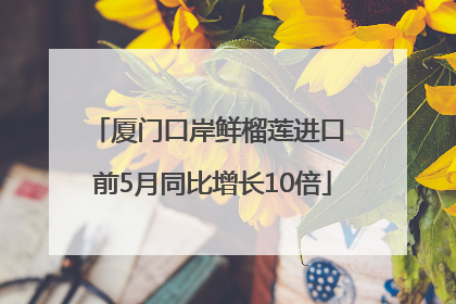 厦门口岸鲜榴莲进口 前5月同比增长10倍