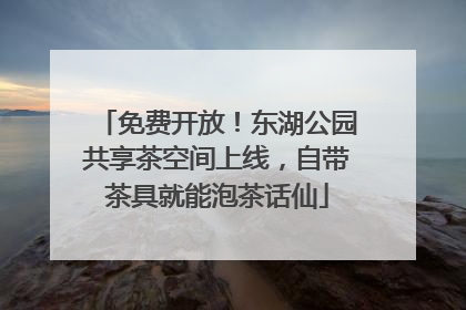 免费开放!东湖公园共享茶空间上线,自带茶具就能泡茶话仙