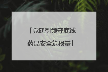 党建引领守底线 药品安全筑根基