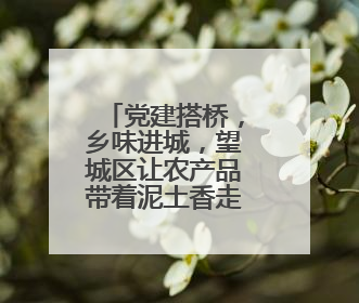 党建搭桥，乡味进城，望城区让农产品带着泥土香走进城市