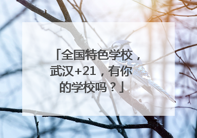 全国特色学校，武汉+21，有你的学校吗？