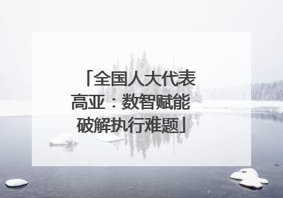 全国人大代表高亚：数智赋能破解执行难题