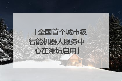 全国首个城市级智能机器人服务中心在潍坊启用
