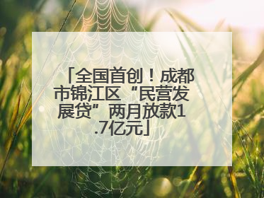 全国首创！成都市锦江区“民营发展贷”两月放款1.7亿元