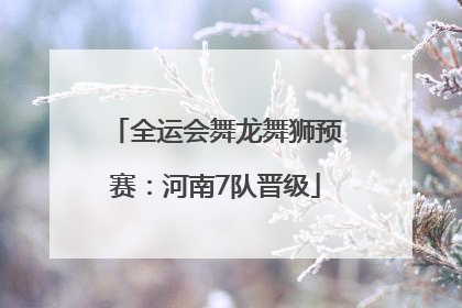 全运会舞龙舞狮预赛：河南7队晋级