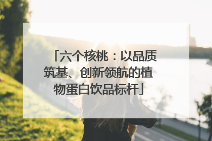 六个核桃：以品质筑基、创新领航的植物蛋白饮品标杆