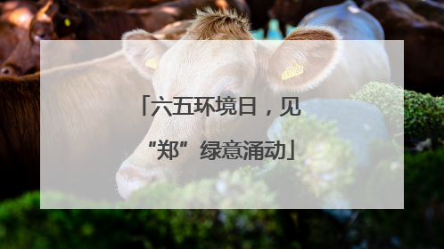 六五环境日，见“郑”绿意涌动