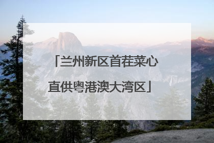 兰州新区首茬菜心直供粤港澳大湾区