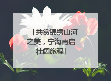 共赏锦绣山河之美，宁海再启壮阔旅程