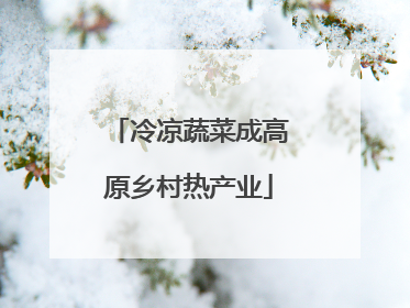 冷凉蔬菜成高原乡村热产业