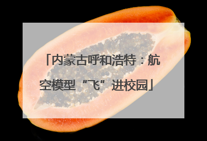 内蒙古呼和浩特：航空模型“飞”进校园