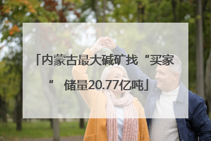 内蒙古最大碱矿找“买家” 储量20.77亿吨