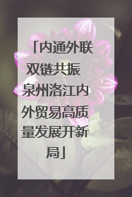 内通外联双链共振 泉州洛江内外贸易高质量发展开新局
