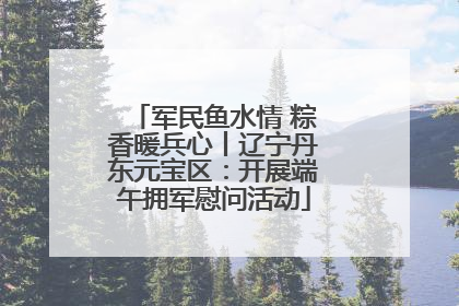 军民鱼水情 粽香暖兵心丨辽宁丹东元宝区：开展端午拥军慰问活动