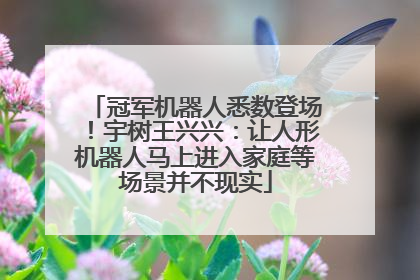 冠军机器人悉数登场！宇树王兴兴：让人形机器人马上进入家庭等场景并不现实