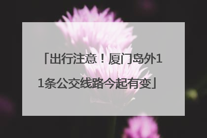 出行注意！厦门岛外11条公交线路今起有变