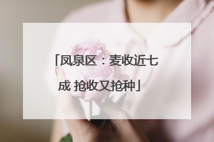 凤泉区：麦收近七成 抢收又抢种