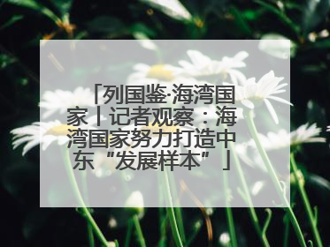 列国鉴·海湾国家丨记者观察：海湾国家努力打造中东“发展样本”