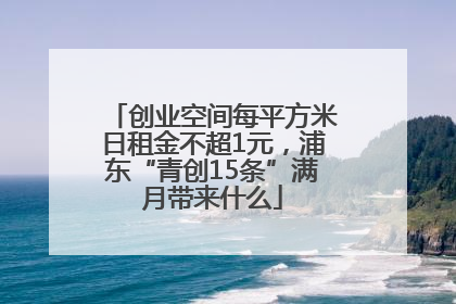 创业空间每平方米日租金不超1元，浦东“青创15条”满月带来什么