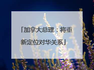 加拿大总理：将重新定位对华关系