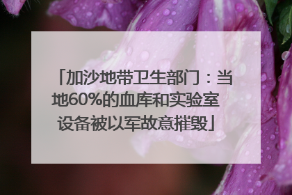 加沙地带卫生部门:当地60%的血库和实验室设备被以军故意摧毁