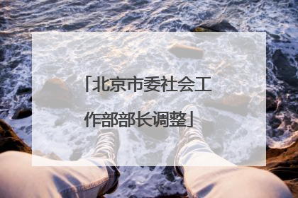 北京市委社会工作部部长调整