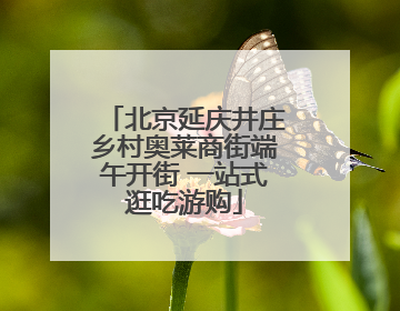 北京延庆井庄乡村奥莱商街端午开街 一站式逛吃游购