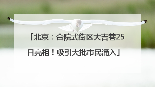 北京：合院式街区大吉巷25日亮相！吸引大批市民涌入