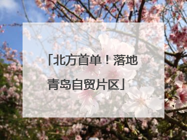 北方首单！落地青岛自贸片区