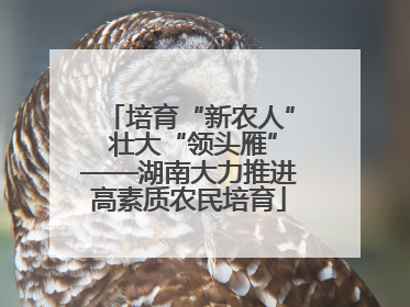 培育“新农人” 壮大“领头雁”——湖南大力推进高素质农民培育