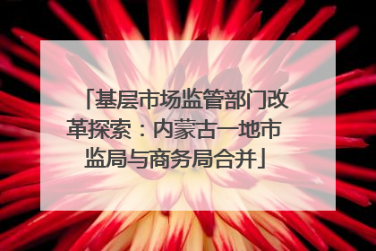 基层市场监管部门改革探索：内蒙古一地市监局与商务局合并