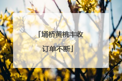 埇桥黄桃丰收 订单不断
