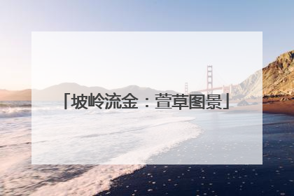 坡岭流金：萱草图景