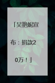 吴艳妮宣布：捐款20万！