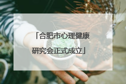 合肥市心理健康研究会正式成立