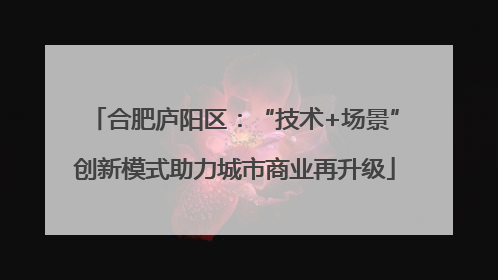 合肥庐阳区：“技术+场景”创新模式助力城市商业再升级